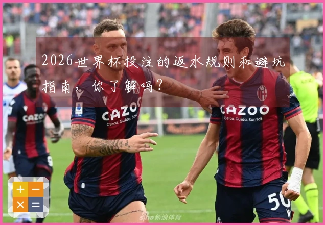 2026世界杯投注的返水规则和避坑指南，你了解吗？