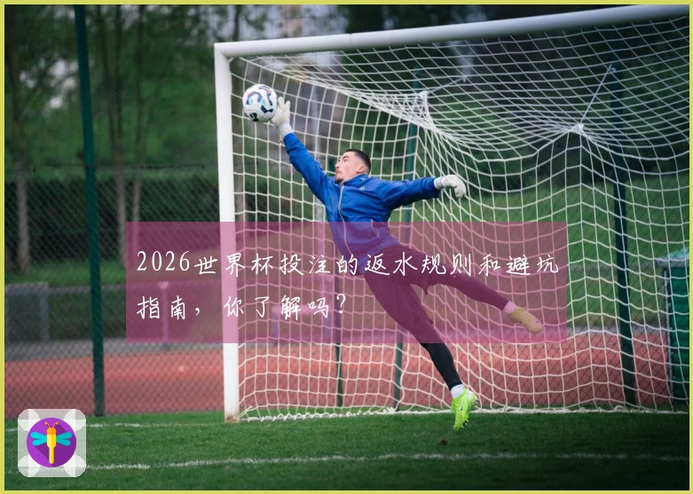 2026世界杯投注的返水规则和避坑指南，你了解吗？