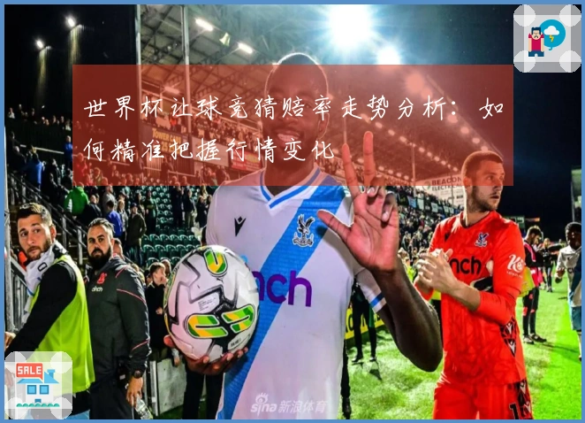 世界杯让球竞猜赔率走势分析：如何精准把握行情变化
